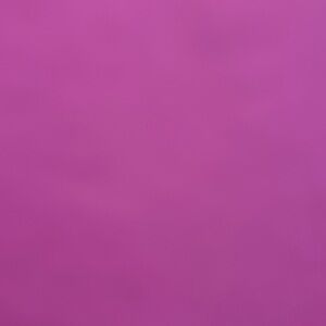 Meet your Posher, Tabitha